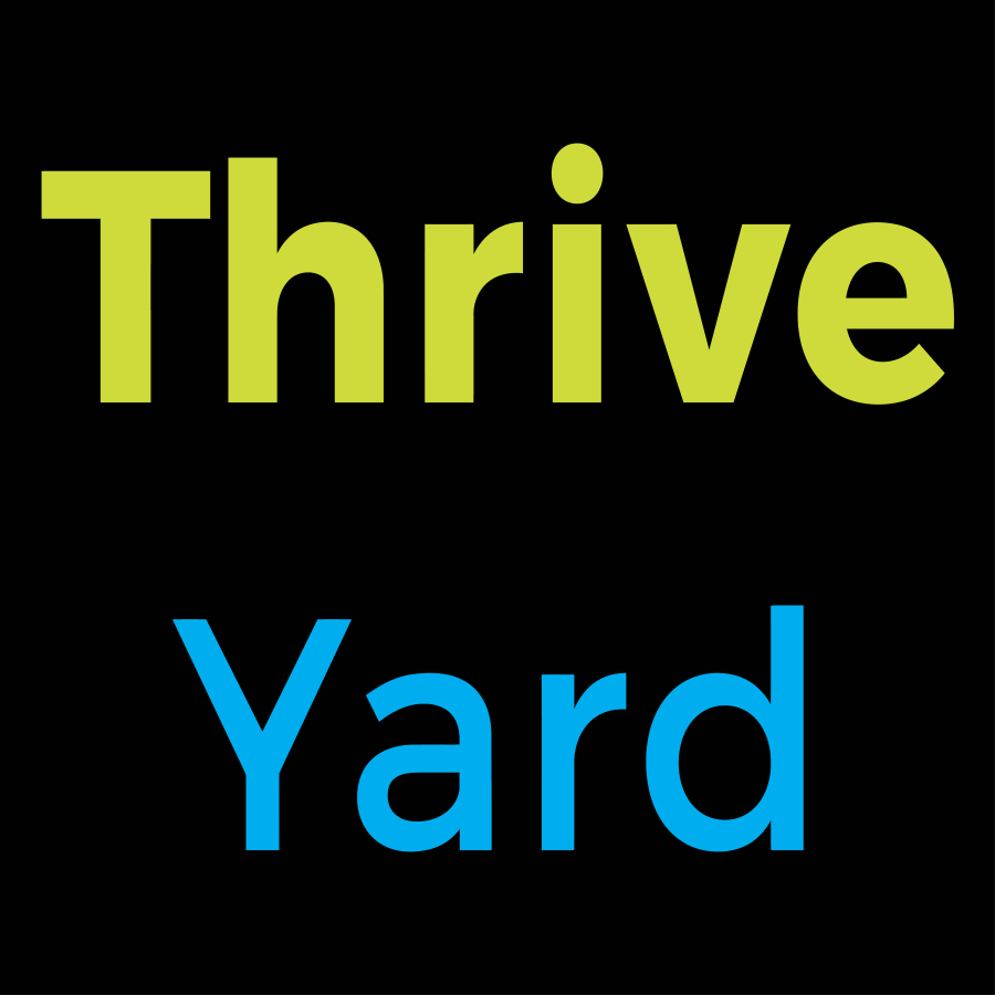 ThriveYard-Career-Blog